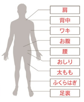 シックスパッド パワーローラー S 使い方】どんな感じに使う？ | Yossy