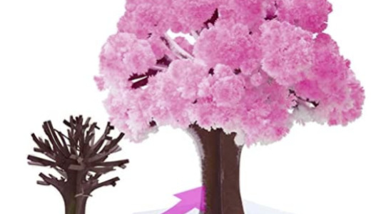 【マジック桜】イット！で紹介された桜の木